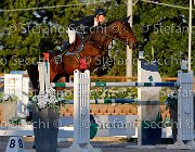 Paini Rosa Cocktail GioCav2013 S5 3571 : Campionati Italiani Giovani Cavalli, Cattolica, Paini Paolo, Rosa Cocktail, ph Stefano Secchi ©